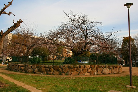 b0073782_14595511.jpg