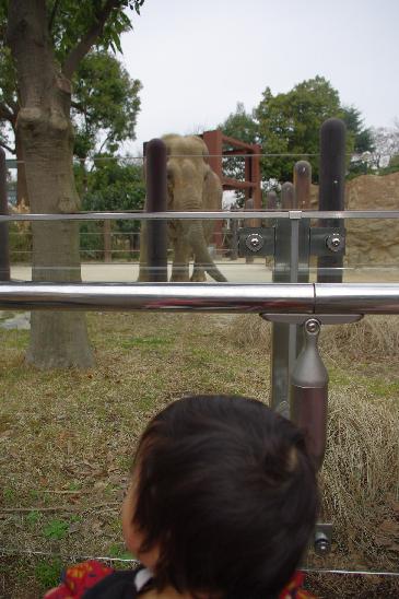 c0182782_20325729.jpg