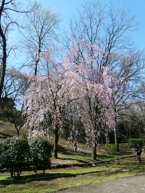 e0145782_725311.jpg