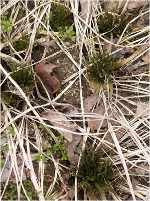 c0145183_2135365.jpg