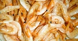 b0068687_20474911.jpg