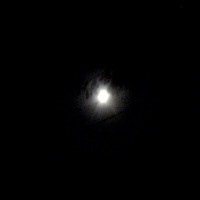 e0148989_3215482.jpg
