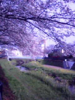 f0059291_18262339.jpg
