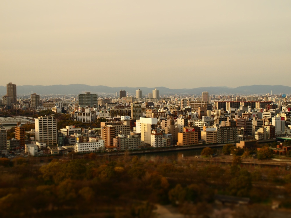 a0133692_20391898.jpg