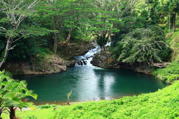 e0122193_3451313.jpg