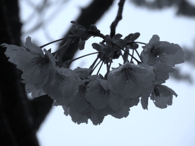 c0200895_19251379.jpg