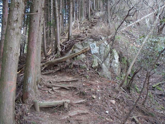 b0039898_20584165.jpg