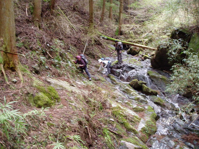 b0039898_2101561.jpg
