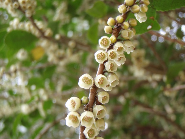 b0039898_2104110.jpg