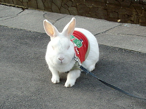 c0138198_18124975.jpg