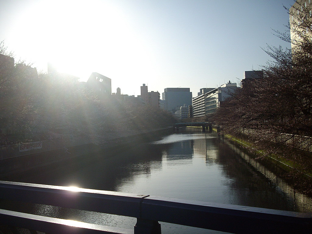c0138198_18162988.jpg