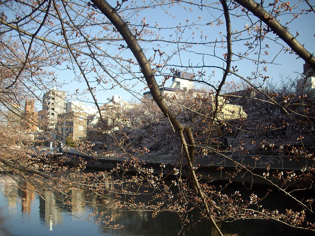 c0138198_18182270.jpg