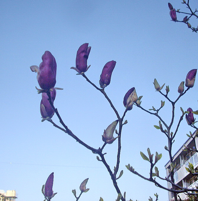 c0138198_18201611.jpg