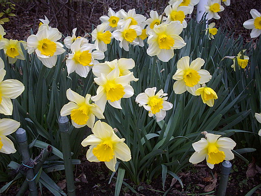 c0138198_1823237.jpg
