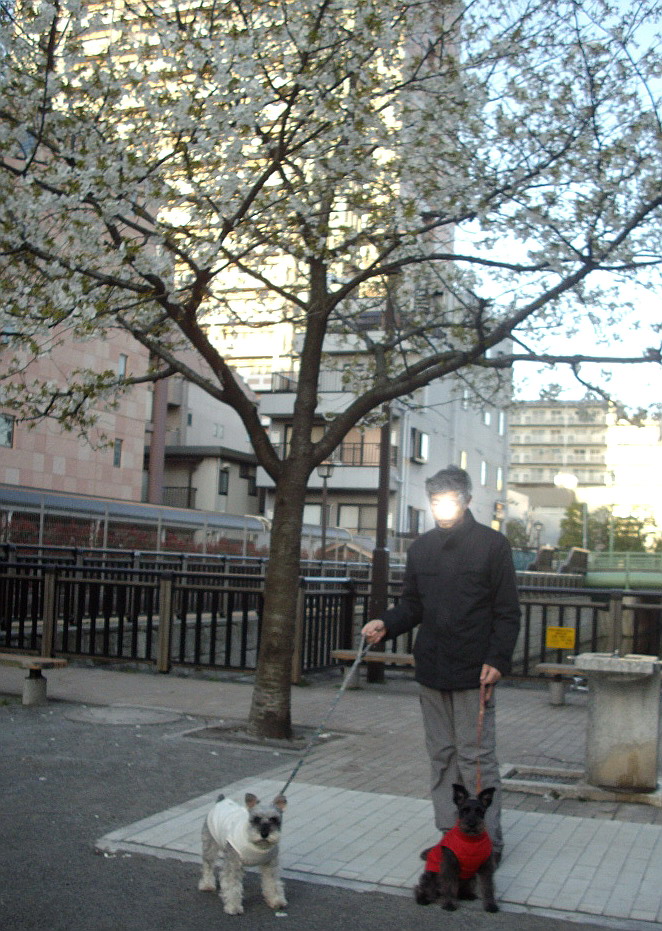 c0138198_1844083.jpg