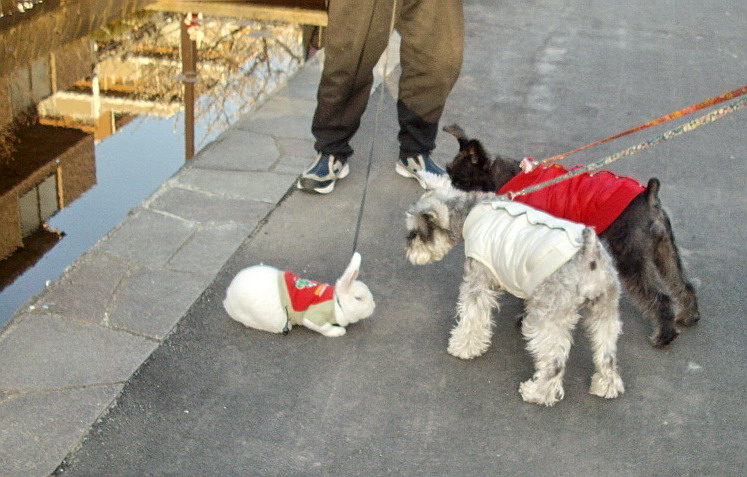 c0138198_1881595.jpg