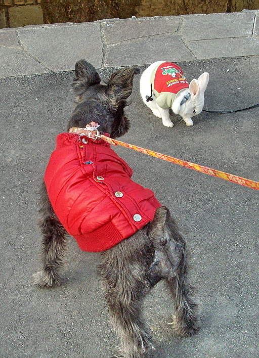 c0138198_1893956.jpg