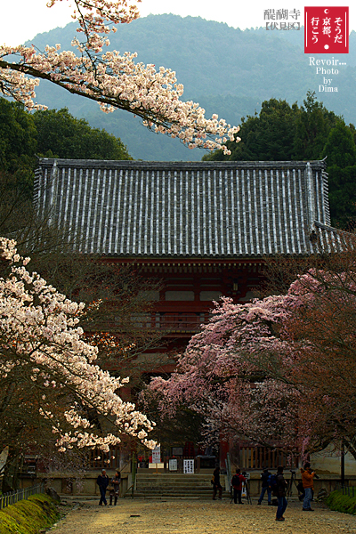 c0183700_21505140.jpg