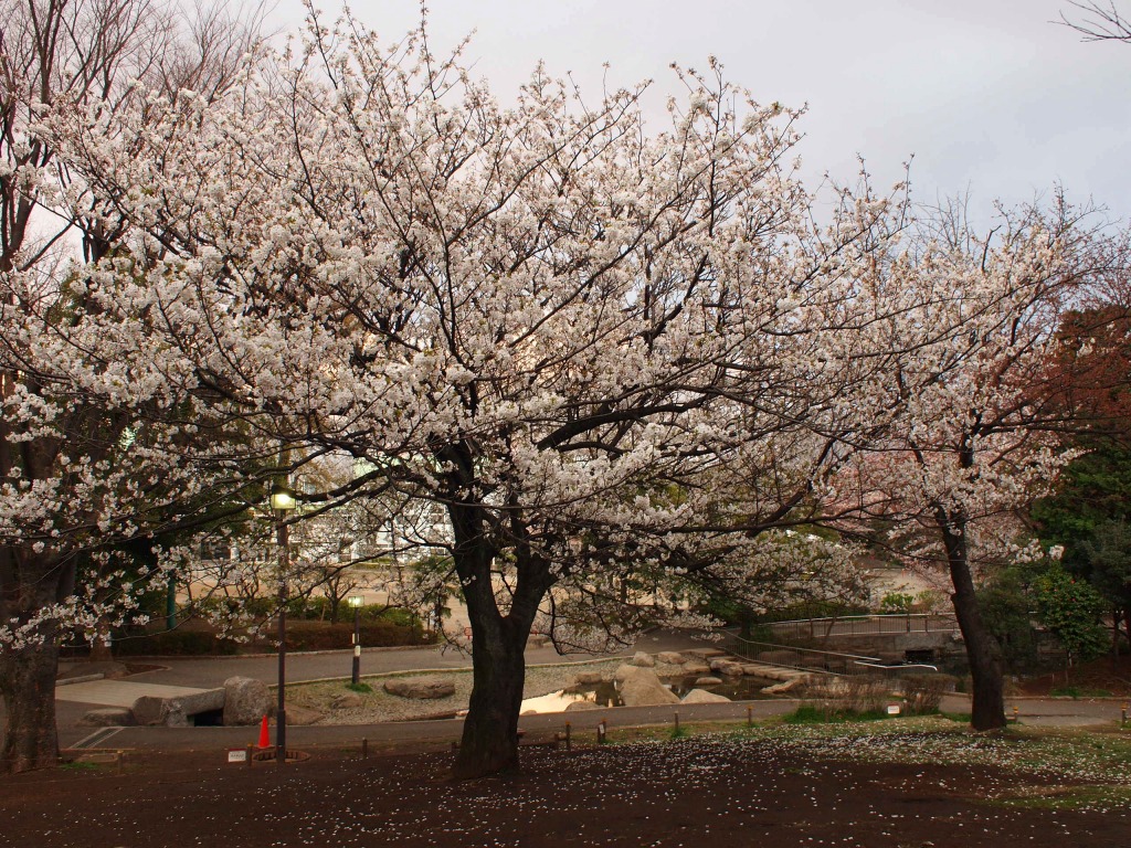 f0224100_674382.jpg