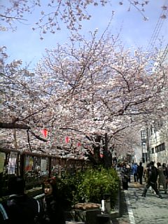 a0156703_16371329.jpg