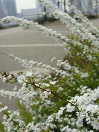 a0167803_7282680.jpg