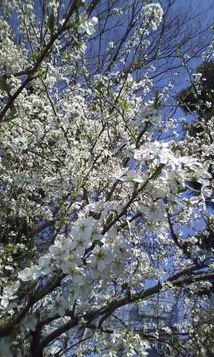 f0032403_0264779.jpg