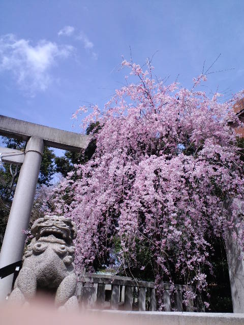 a0088007_2171577.jpg