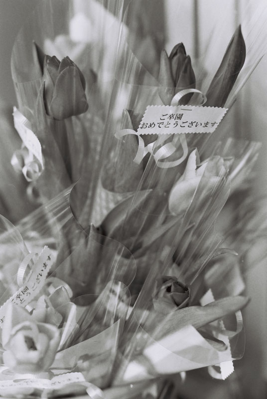 c0121907_77215.jpg