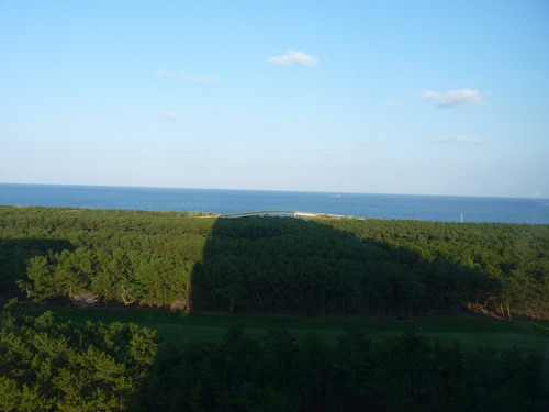 b0052108_6434147.jpg