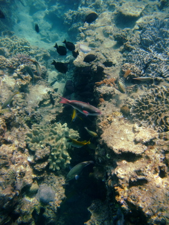 f0046009_14442065.jpg
