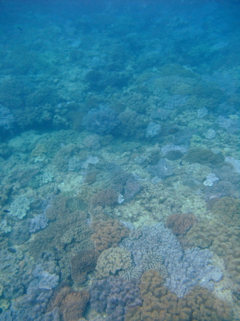 f0046009_1444649.jpg