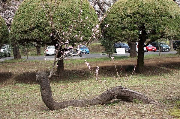 e0121110_20273314.jpg