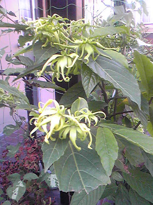 a0019212_151923.jpg