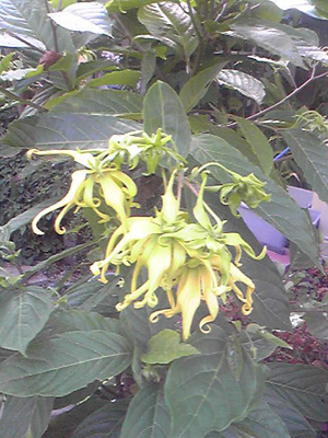 a0019212_17731.jpg