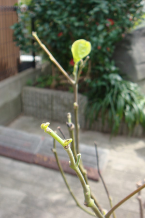 a0019212_193320.jpg