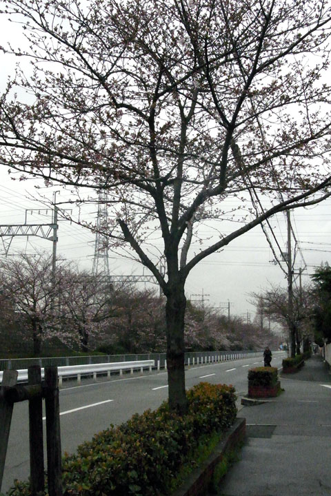 e0083517_23431517.jpg