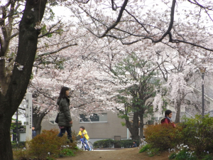 f0217217_1321164.jpg