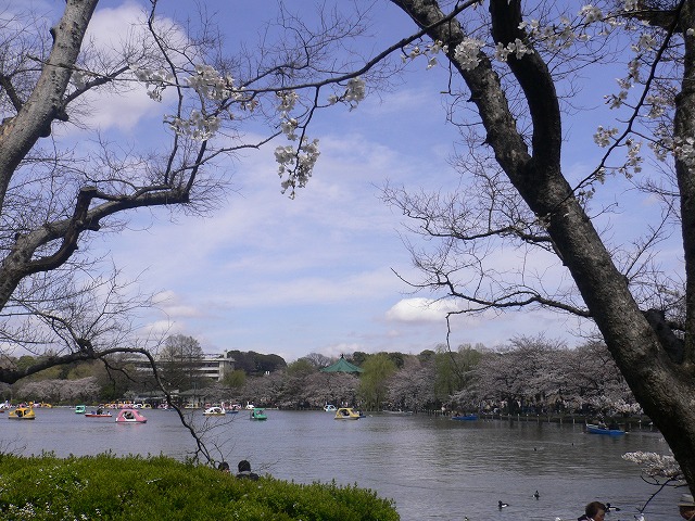 f0117618_2251151.jpg