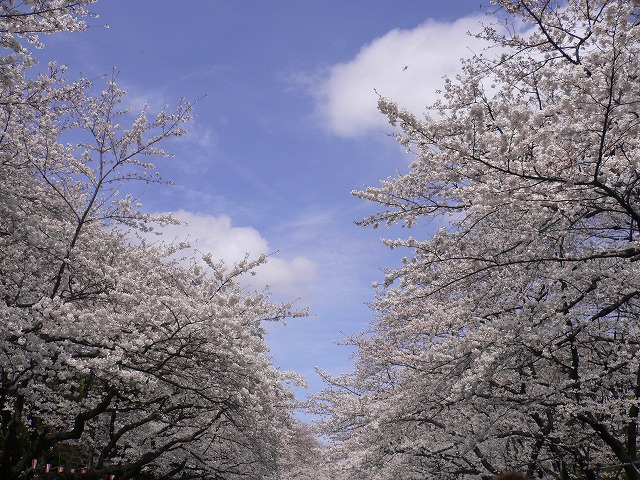 f0117618_22552165.jpg