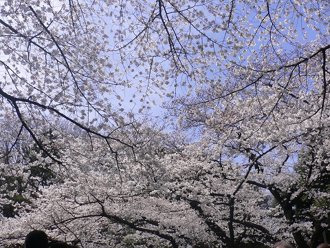 f0117618_2337767.jpg