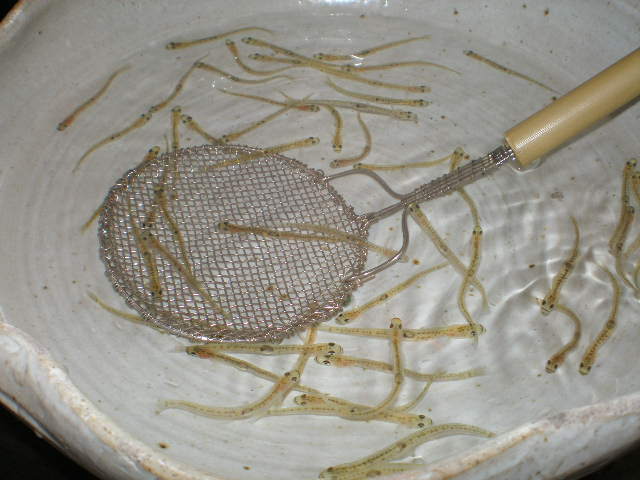 c0095424_1141654.jpg