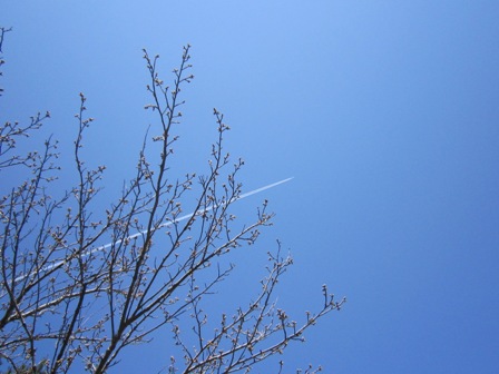 b0181027_2344537.jpg