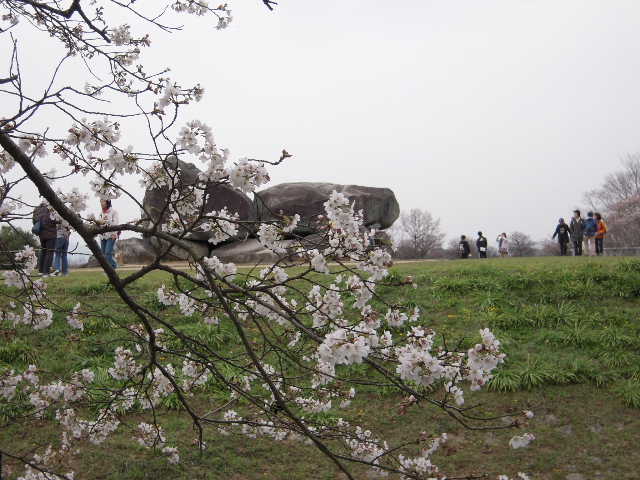 b0025633_1023090.jpg