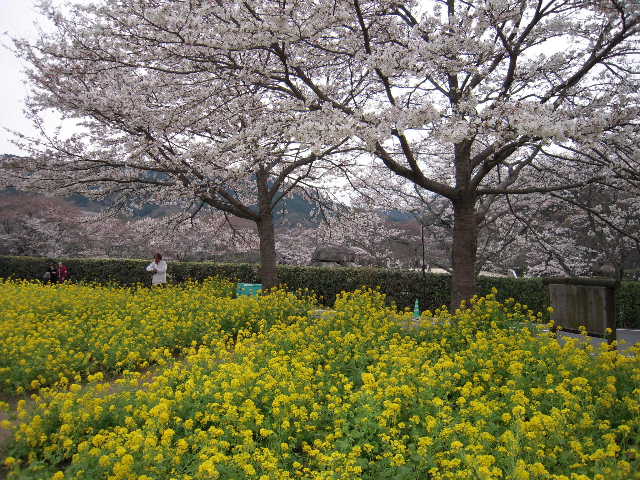 b0025633_1027196.jpg