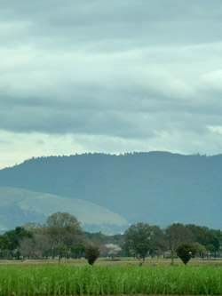 b0035734_2128309.jpg