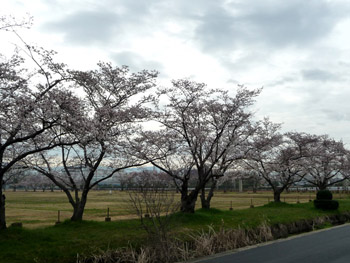 b0035734_2129255.jpg