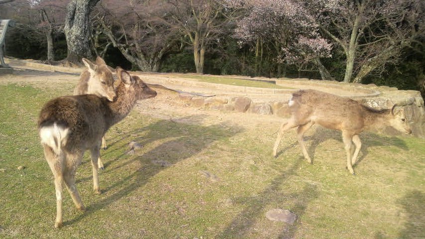 c0161034_0252621.jpg