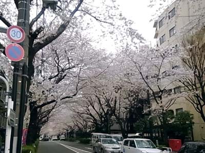 b0019140_12343938.jpg