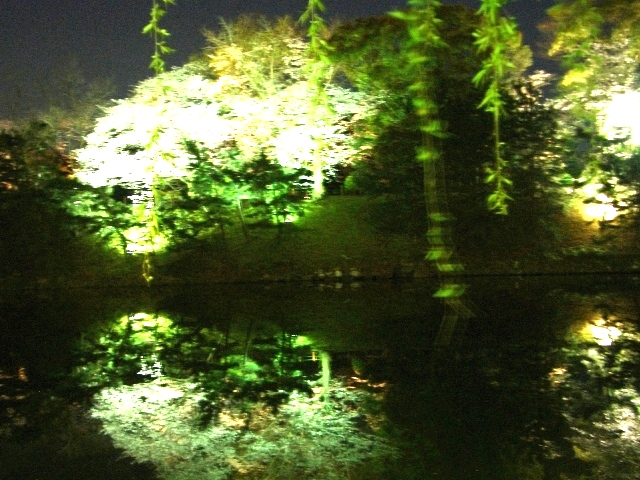 e0027240_1529778.jpg