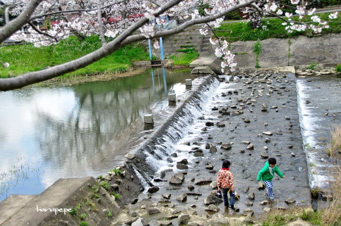 a0145741_19493463.jpg